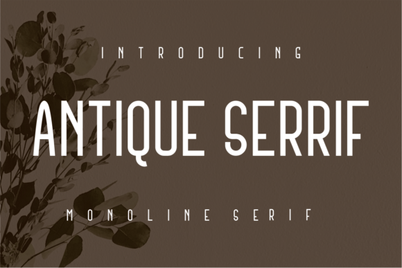 Antique Serrif: A Modern Serif Font for Digital Design