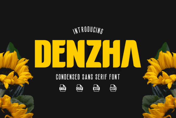 Denzha Sans Serif Font for Modern Web Design