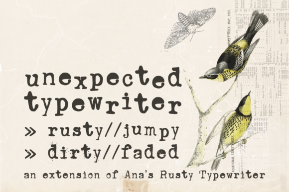 Unexpected Typewriter: A Serif Font for Web Design Projects